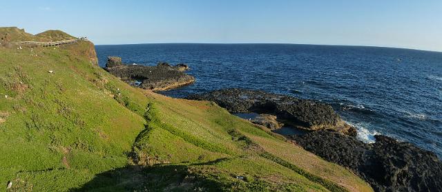 (83) The Nobbies Gull colony Panorama.jpg